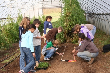 Montgomery School: Fourth grade students working with a Maysie's Farm teacher prepare to transplant spinach which will be served to them this winter in their school dining room